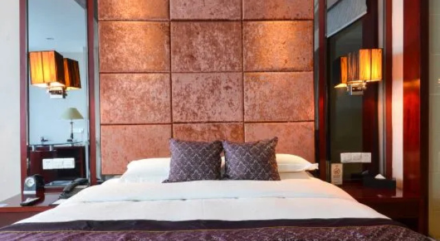 Двухместный номер Executive Wanyou Conifer Hotel