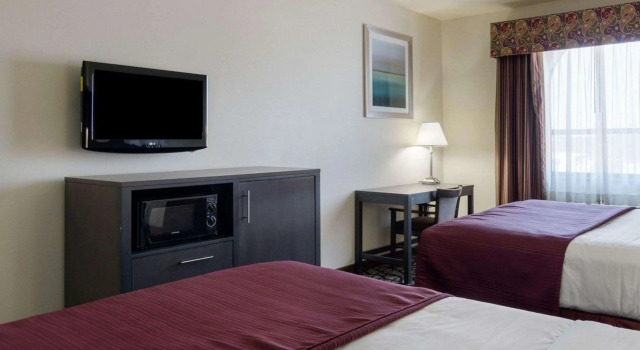 Standard- firedobbelt værelse Quality Inn Buffalo