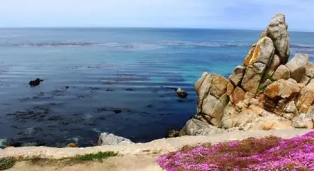 Pacific Grove Plaza
