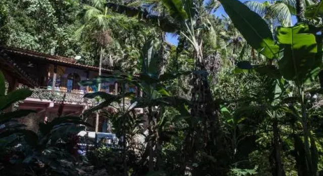 Surftopia Surf House