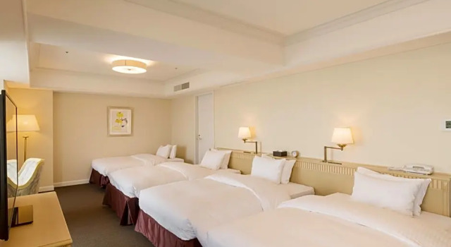 Номер Standard с видом на окрестности SHIROYAMA HOTEL kagoshima