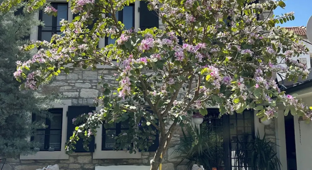 Номер Superior Urla Taş Konak Otel