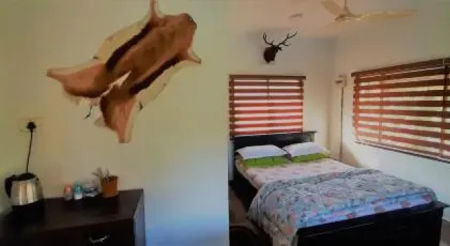 Noah's Nest Tree House