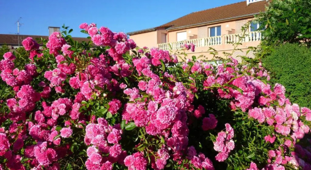Hôtel Côté Jardin, Rezervovat Hotel Hotely v Commercy s parkováním, Parkování