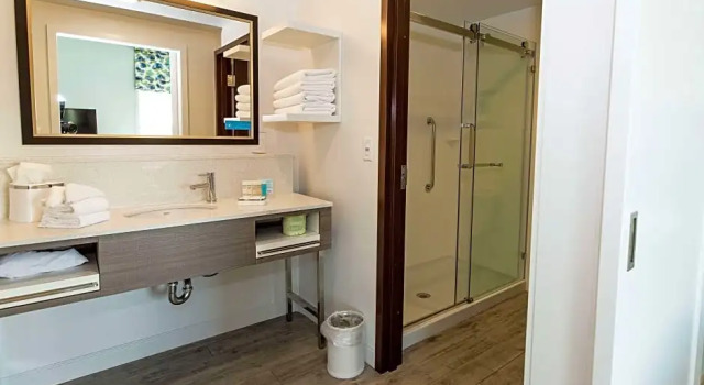 Двухместный люкс Hampton Inn & Suites Syracuse North Airport Area