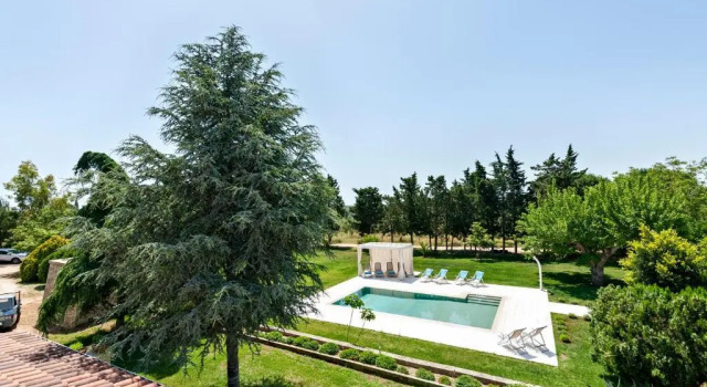 Семейный номер Standard с видом на сад Olive Garden House