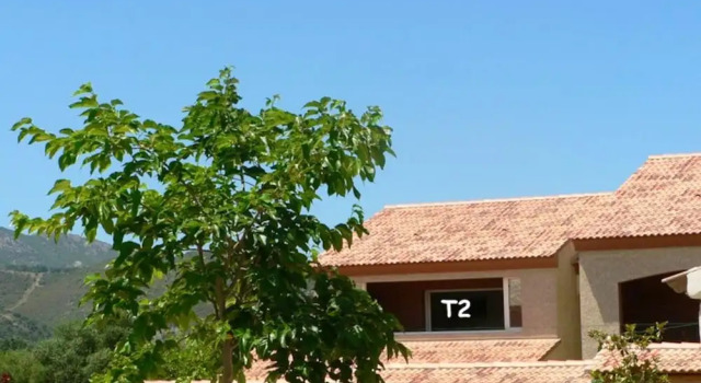 Apartment With one Bedroom in Oletta, With Shared Pool