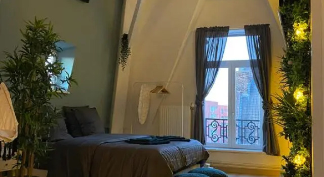 Zen - Roubaix-Lille - Balneo - Home Cinema - Billard