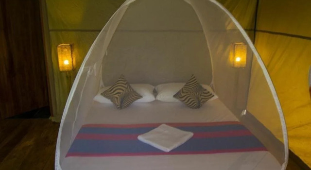 Heaven Homestay