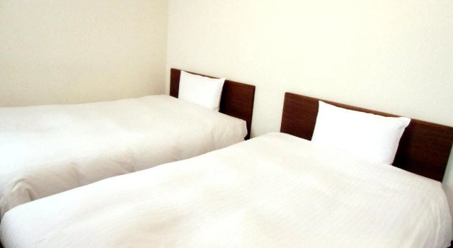 Двухместный номер Standard Hotel Green Line