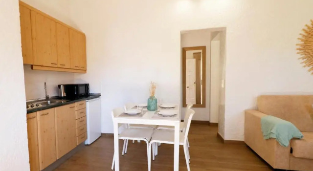 Апартаменты c 1 комнатой Naika Studios & Apartments