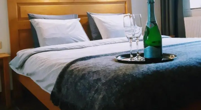 Номер Standard Tisza Lodge B&B - Panzió