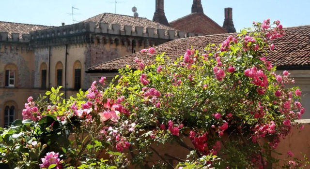 Arnaboldi Palace