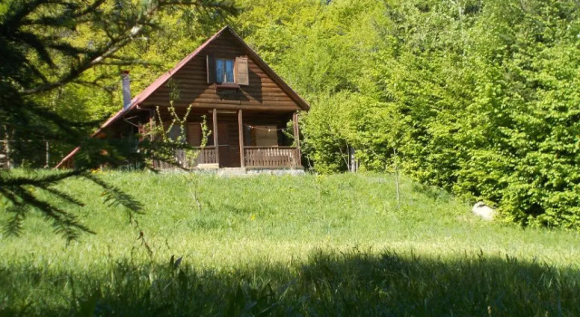 Коттедж Cabana Lacrimioara