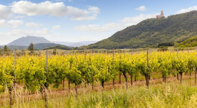 Двухместный номер Comfort Hôtel Restaurant Verger des Châteaux, Route des vins Haut-Koenigsbourg
