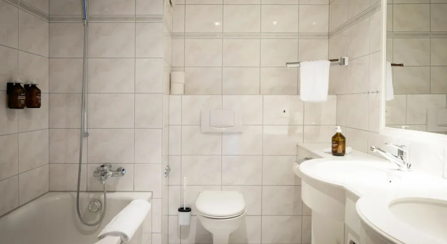 Номер Superior Vegan Health Hotel Sonnenberg