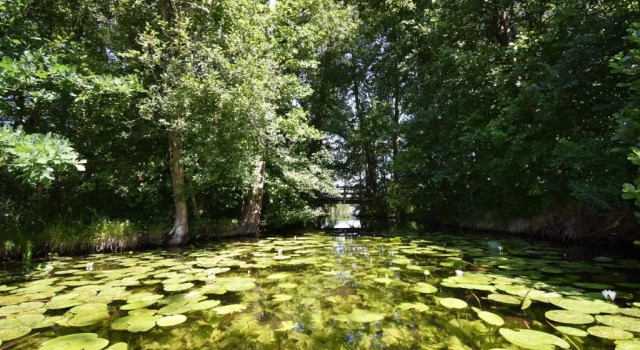 Коттедж 5 Sterne-Ferienhaus-See-Sauna-Kamin-Garten im Naturpark