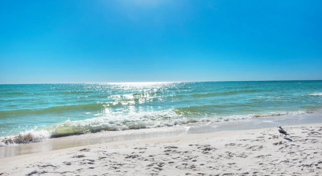 Venus 306 is a 3 BR steps to Pool with easy beach access - sleeps 9 by RedAwning, Book Lejlighed Fort Walton Beach Emerald Coast