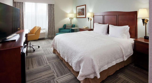 Двухместный номер Standard Hampton Inn Duluth-Canal Park