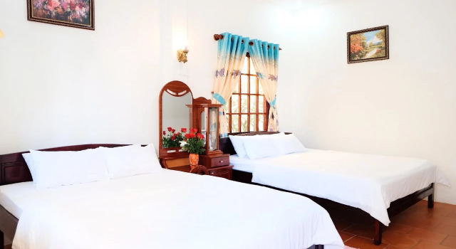 The Palm Tree Guesthouse, Забронировать Гостевой дом Гостевые дома Зыонгдонг, Гостевой дом