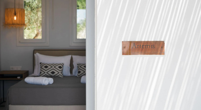 Полулюкс Drios Luxury Studios