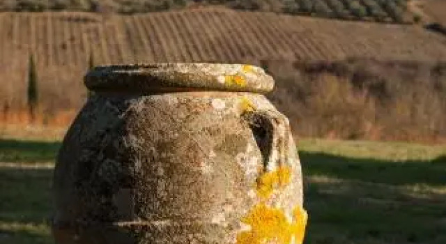 La Casa di Thea, Buchen Sie Hotel Impruneta Chianti