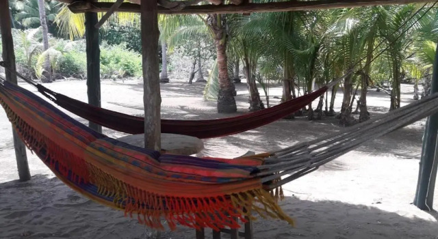 Кровать в общем номере Hostal Pachamama