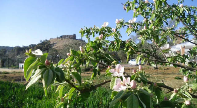 Коттедж Casa Rural La Serrana de Aracena