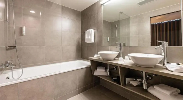 Одноместный номер Deluxe Lake Geneva Hotel