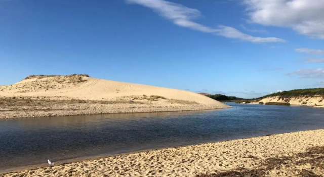 Апартаменты Chaleureux appartement à 500m de l’océan et 150m du Golf Moliets-Plage