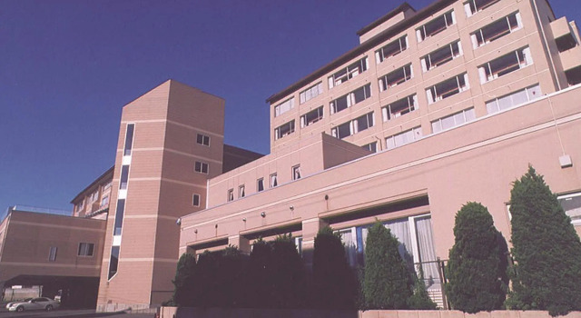 Одноместный номер Standard Hotel Tetora Resort Tsuruoka