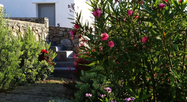 Полулюкс Aelia Mykonos