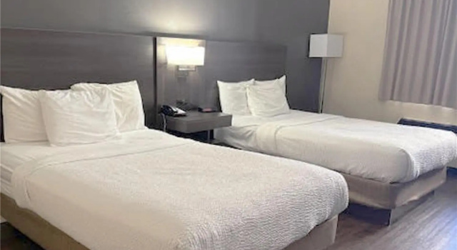 Четырёхместный номер Standard SureStay by Best Western Brockville