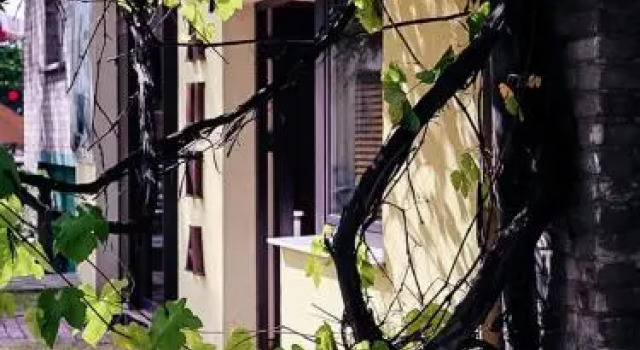 Oberża Złota Gęś, Prenota Hotel  