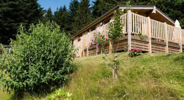Шале с 2 комнатами Tayview Lodges