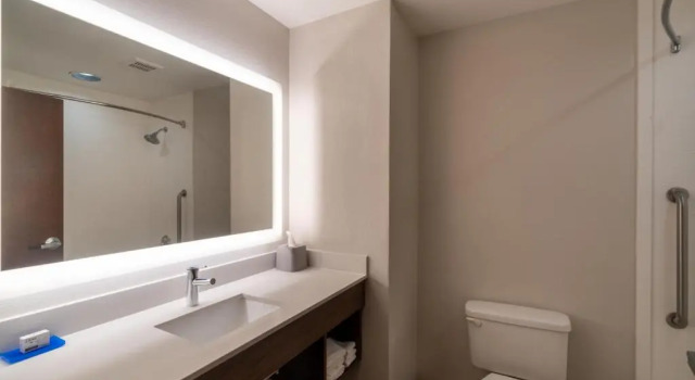 Номер Standard Holiday Inn Express Hotel & Suites Talladega by IHG