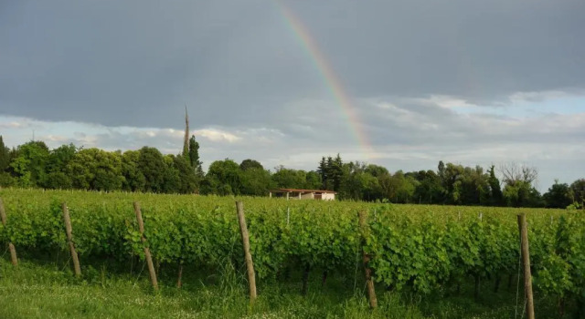 Номер Standard Agriturismo Le Giarine