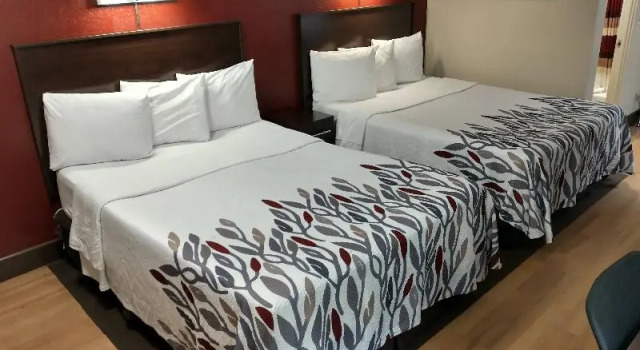 Номер Deluxe Red Roof Inn Santa Ana
