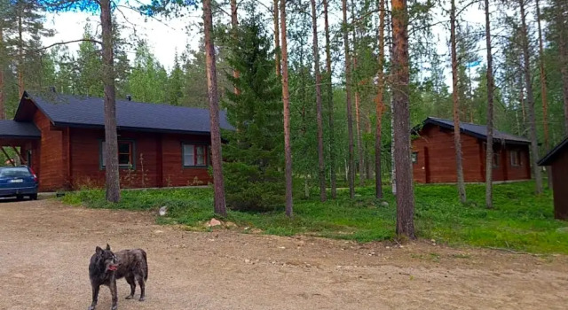 Silver Fox Hostel