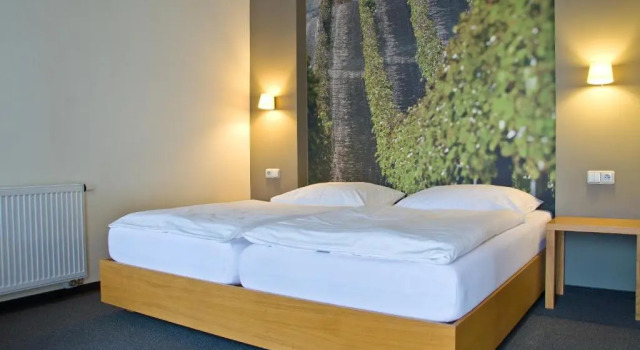 Двухместный номер Standard Hotel Lidový dům