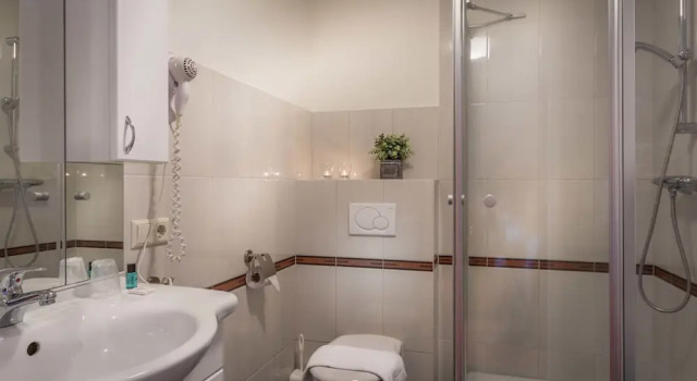 Трёхместный номер Standard Hotel Riche