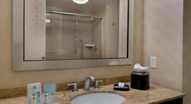 Студия Hampton Inn & Suites Tampa Northwest/Oldsmar