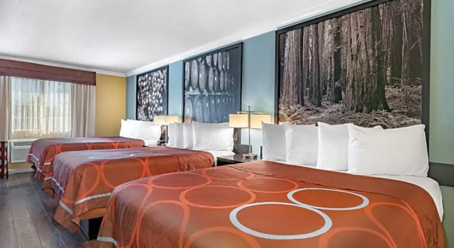 Шестиместный номер Superior The Orchard Hotel Ukiah Wine Country Free Breakfast, Pool, & Hot Tub