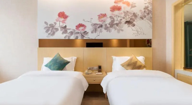 Двухместный номер Business Paco Business Hotel Luo Gang Wan Da Branch
