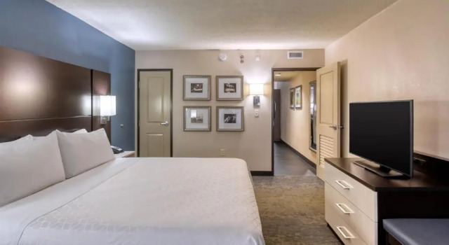 Люкс с красивым видом из окна Holiday Inn & Suites Atlanta Airport North by IHG