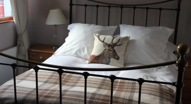 Номер Deluxe Heatherbank Guest House