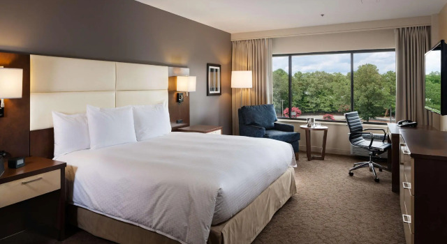 Номер Standard Doubletree by Hilton Hotel Williamsburg