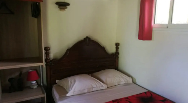 Cazadodo