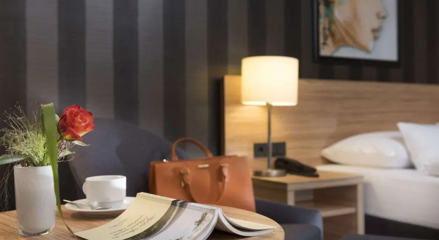 Двухместный номер Classic Maritim Hotel Königswinter