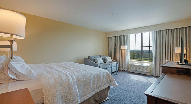 Двухместный номер Standard Hampton Inn & Suites Cazenovia, NY
